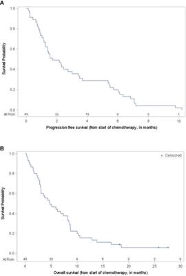 Outcomes From Cytotoxic Chemotherapy Following Progression on Immunotherapy in Metastatic Melanoma: An Institutional Case-Series